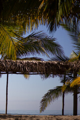Palapa natural de palma rodeada de palmeras frente a la playa.