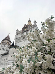 castle and white flowers