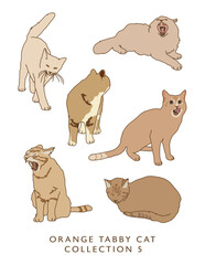 Orange Tabby Cat Illustrations in Color! Collection 5
