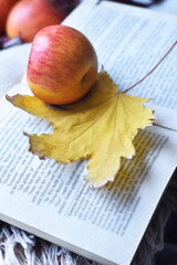 leaves on book, apple on book
