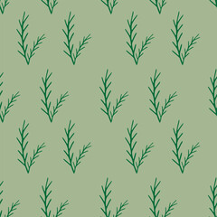 Seamless pattern of winter fir branches on a white background