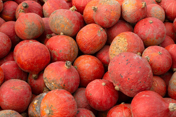 Pumpkins on the field