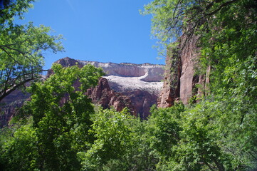 Weeping Rock Taril Zion National Park