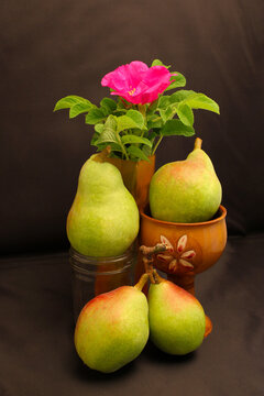 Pear and Rose Still 03