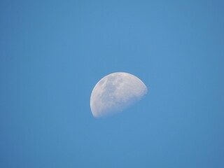 Fototapeta premium moon sky blue