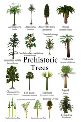 Prehistoric Trees - A collection of trees and cycads that lived during prehistoric periods of Earth's history.