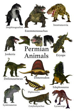 Permian Animals - A collection of animals, cats, arthropods, amphibians, reptiles and synapsids that lived during the Permian Period.