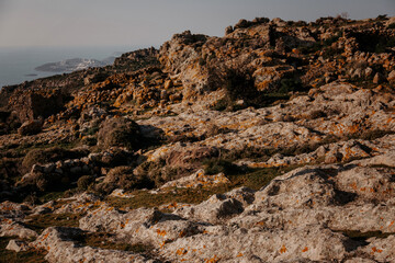 a treeless plateau covered with wild fennel on top of a mountain against the sky and sea