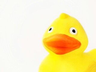 Yellow toy ducky closeup isolated on white and copy space to add text 