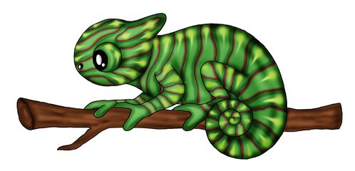 cute chameleon