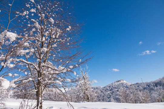 Paisajes de Invierno y cielo azul en Bariloche. Al Fondo Restaurante del Cerro Otto. 