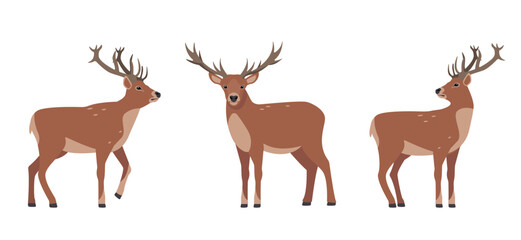 Deer icons set. Horny deer, fawn, spotted reindeers in different poses. Wild forest animals of Europe, America and Scandinavia with big horns. Flat vector illustration isolated on white background.