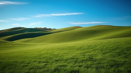 A beautiful landscape with green trees and blue sky