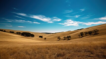 Fototapeta premium A beautiful landscape with green trees and blue sky