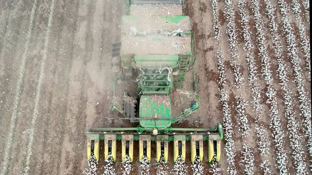 Cotton picker harvest, drone