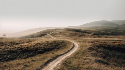 A photograph of natural landscape