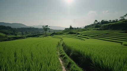 Fototapeta premium A photograph of natural landscape