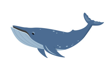 Whale animal icon. Ocean aquatic mammal. Sea Animal blue whale floating Underwater. Nature Vector flat or cartoon illustration isolated on white background.