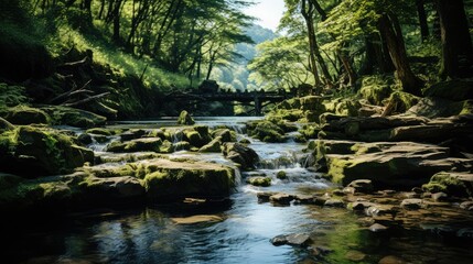 Fototapeta premium Waterfall in summer forest in mountain forest Park