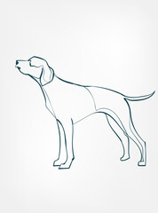 Pointer dog breed animal vector line art one line sketch outline
