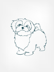 Shih Tzu dog breed animal vector line art one line sketch outline