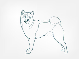 Shiba Inu dog breed animal vector line art one line sketch outline