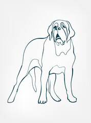 St. Bernard dog breed animal vector line art one line sketch outline