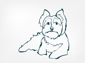 YORKIES dog breed animal vector line art one line sketch outline