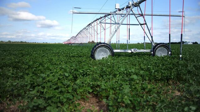 Center pivot irrigation in soybean field
