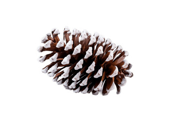 Snow covered Pinecone Isolated on Transparent Background. Generative AI.
