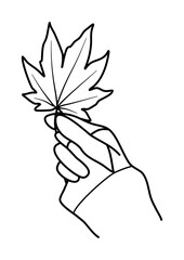 hand holding fall leaf autumn line art vector illustration