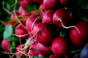 bunch of radishes