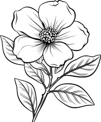 black and white contour of flower