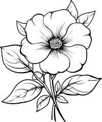 black and white flower
