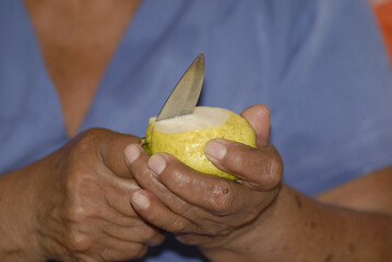 vegetables that are cooked as food in the towns of Mexico