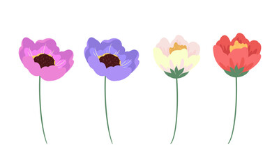 Vector hand drawn flower collection on white