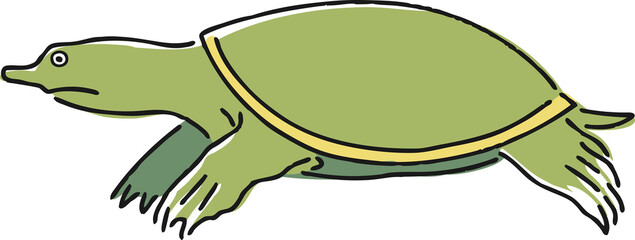 手描きのスッポンのイラスト