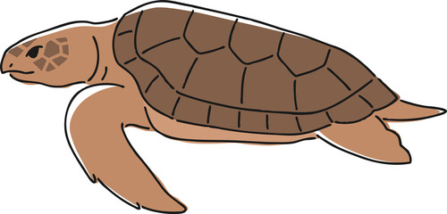 手描きのウミガメのイラスト