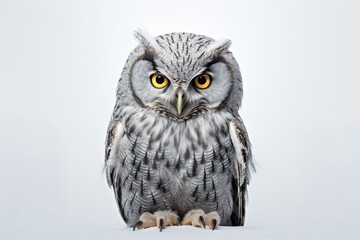 Fototapeta premium An owl figurine