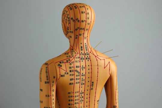 Acupuncture - alternative medicine. Human model with needles in shoulder against grey background, back view