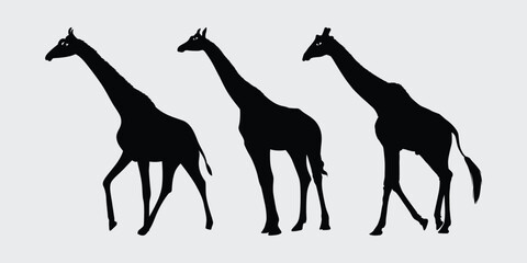 giraffe black silhouette, giraffe vector outline design, Giraffe vector black and white 