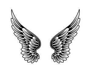 Obraz premium a pair of black and white wings on a white background