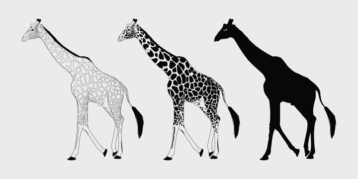 giraffe profile outline