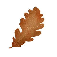 Fototapeta premium Autumn leaf