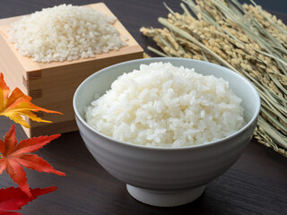 新米のイメージ。ごはん・米・稲穂。
