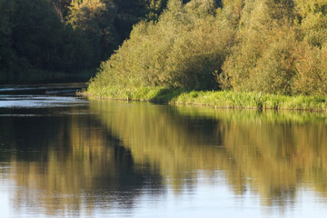Flora And Fauna Of Reservoirs And Meadows
