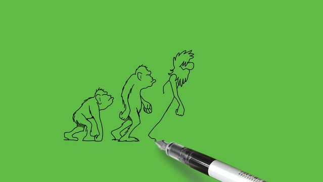 draw human evolution ape of different stage of man's life begin with black outline on abstract green screen background    
