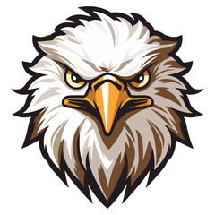 Eagle head vector illustration