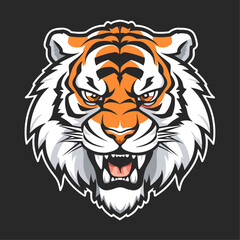 Tiger head vector illustration