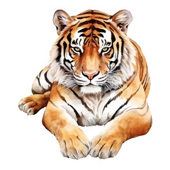 Fototapeta premium tiger watercolor illustration, generative AI